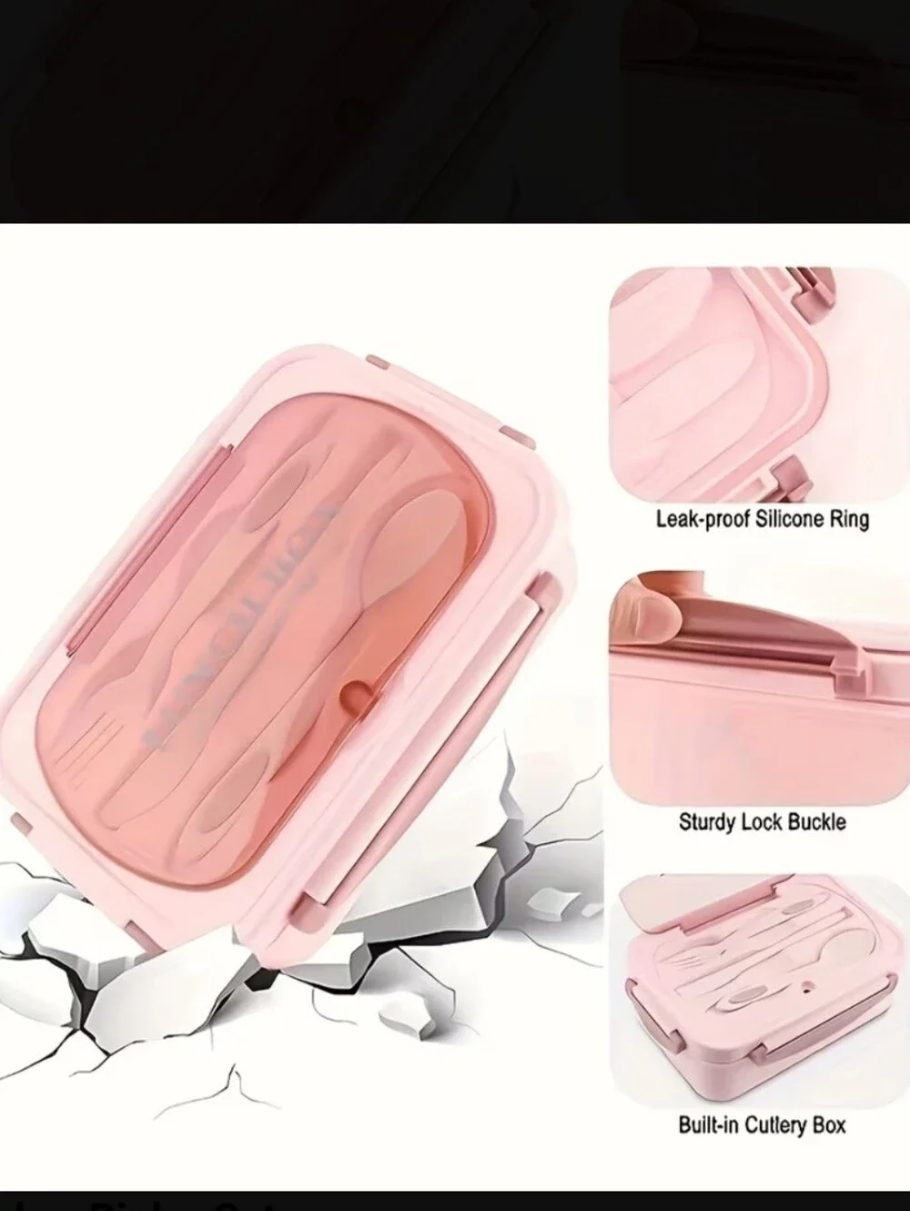 Lunch Box with Utensils And Carry Bag